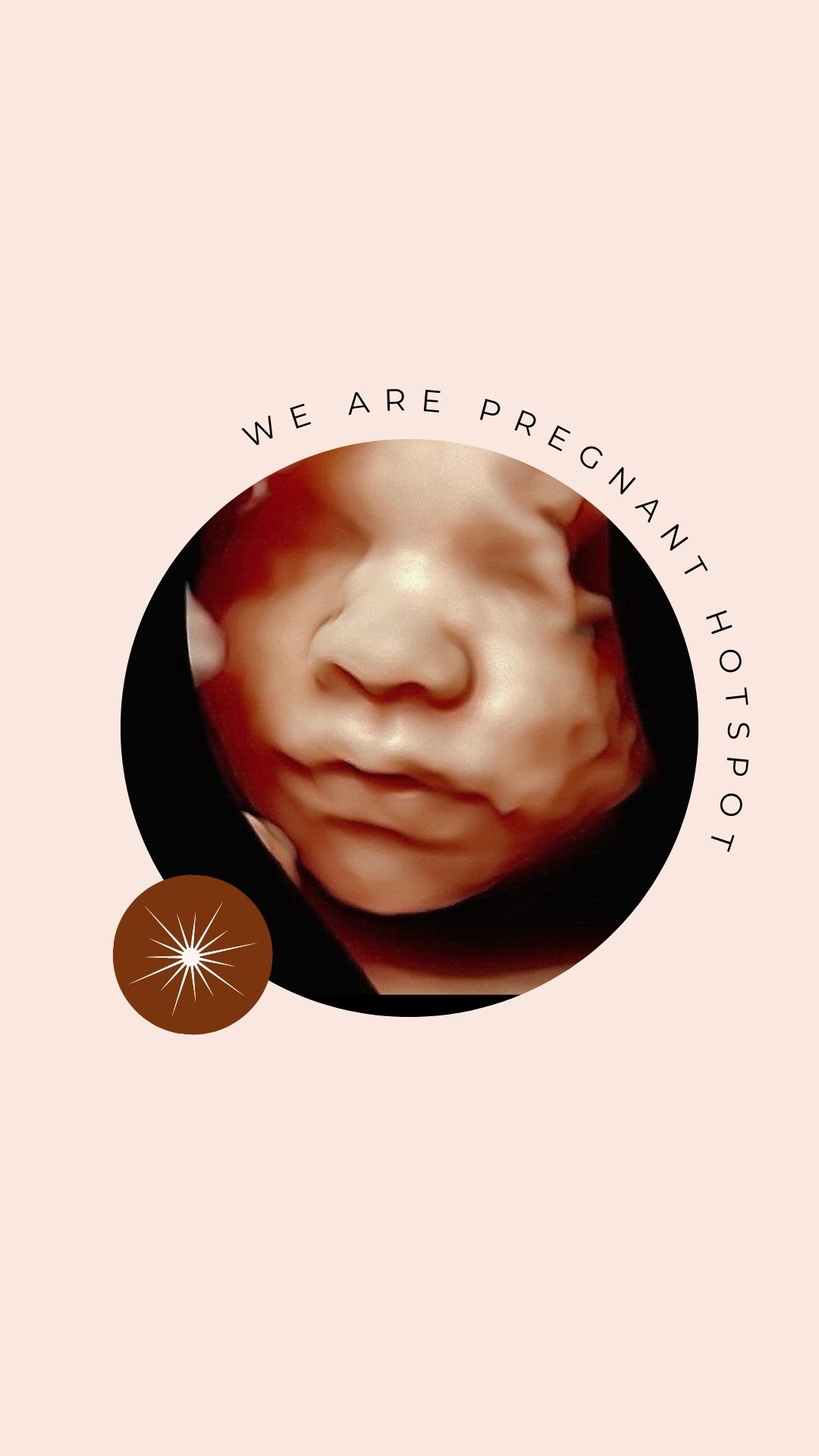 Programma We Are Pregnant